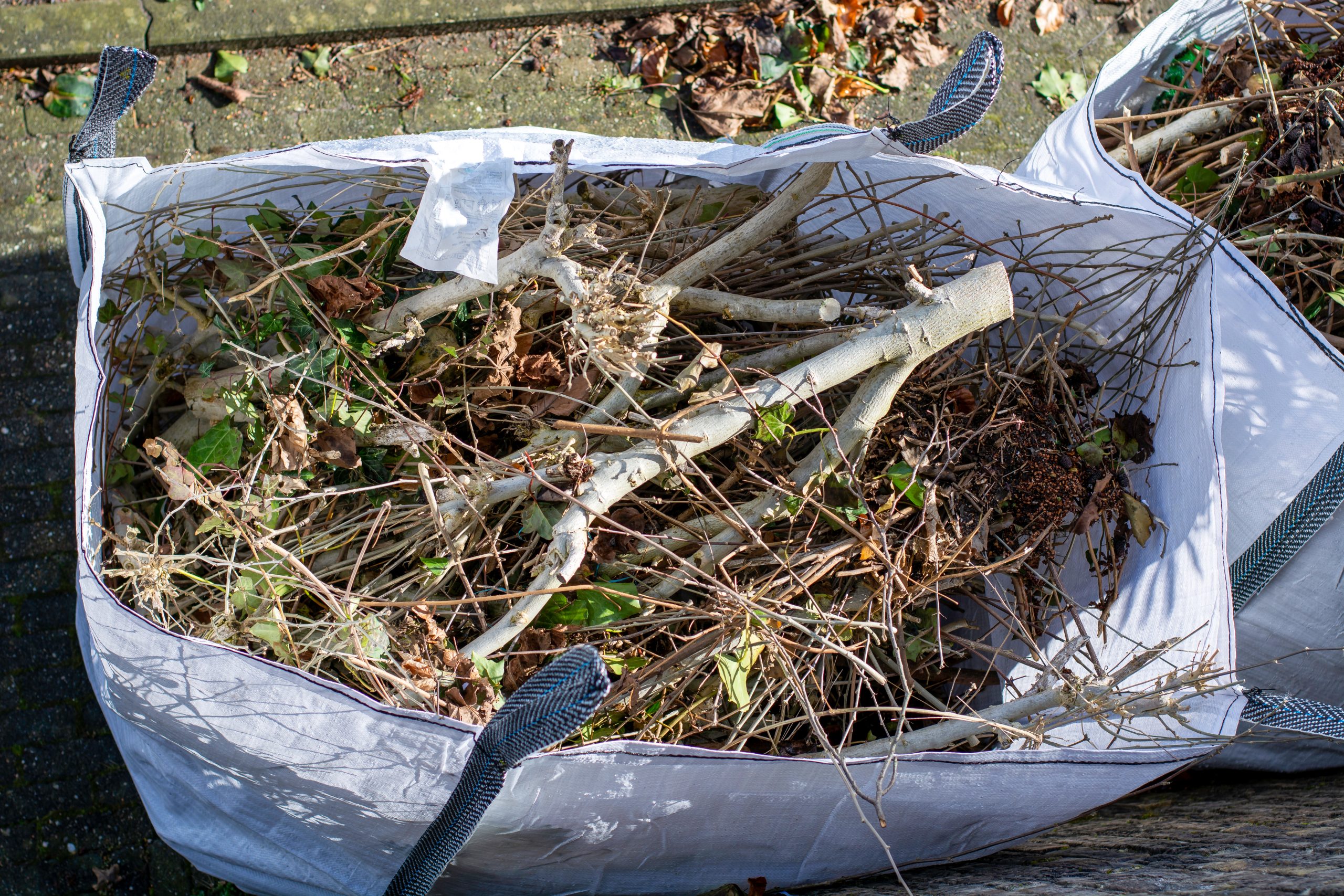 Garden Clearance Anerley SE20