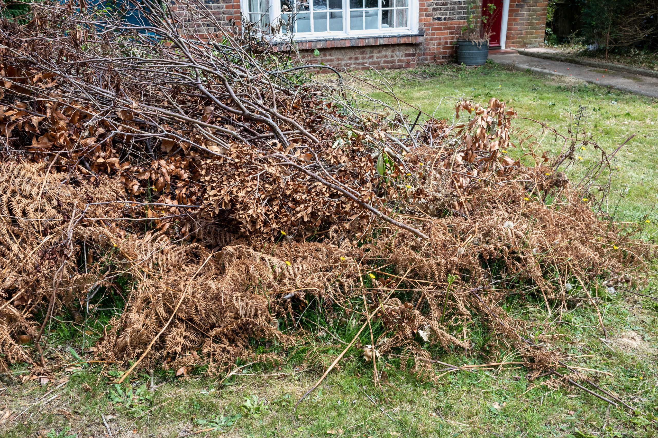 Garden Green Waste Removal Anerley SE20